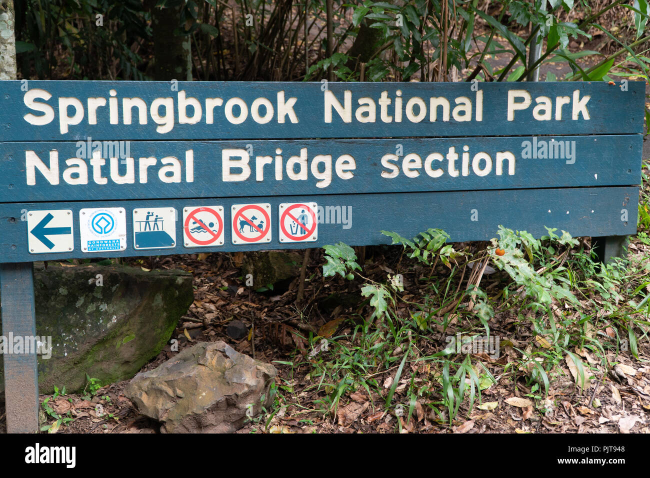 Springbrook National Park, Natural Bridge Abschnitt unterzeichnen, Australien Stockfoto