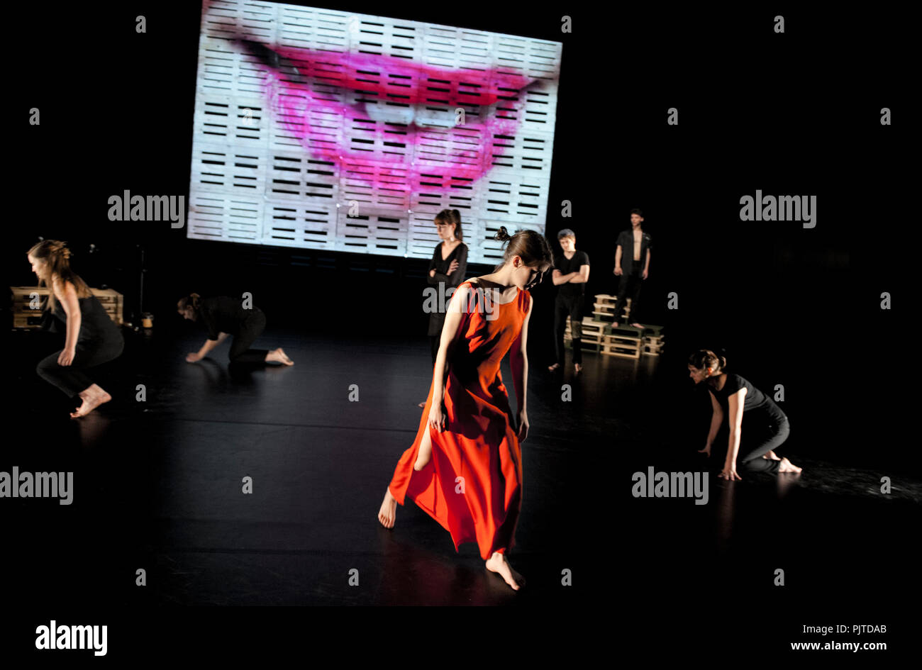 Theater Theater Milla spielen" Reynaert', unter der Regie von Eva Soenens in der Serie Amateurtoneelhuis in Antwerpen (Belgien, 15/04/2014) Stockfoto