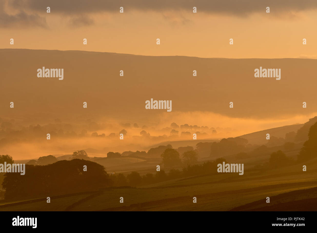 Am frühen Morgen Sonnenaufgang in oberen Wensleydale in der Nähe von Hawes auf einem frühen Herbstmorgen. North Yorkshire, UK. Stockfoto