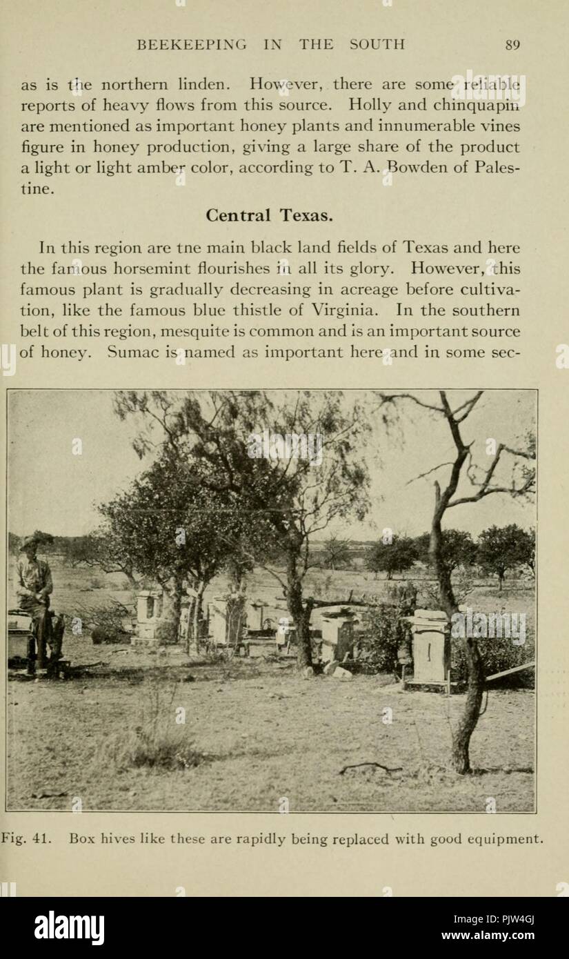 Die Bienenzucht im Süden (Seite 89) Stockfoto
