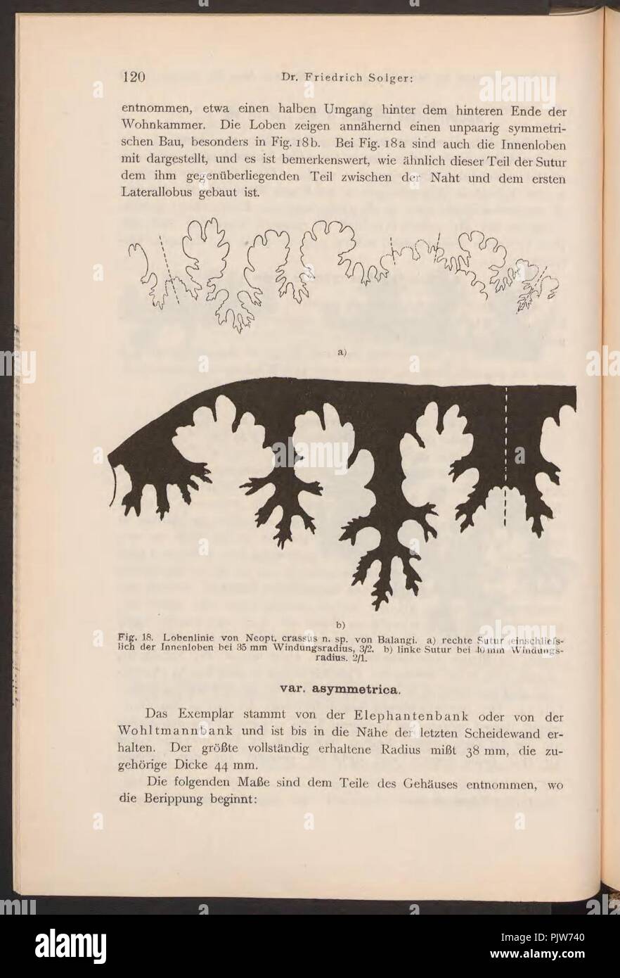 Beiträge zur Naturwissenschaft von Kamerun (Seite 120). Stockfoto