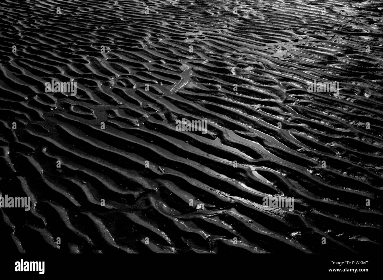 Impressionen von der Strand und Dünen an der Belgischen Küste Stadt De Haan/Le Coq (Belgien, 29/05/2005) Stockfoto