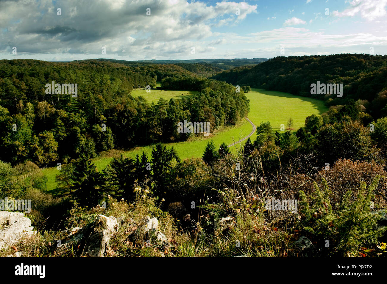 Das Tal von Belvaux in der Nähe von Han-sur-Lesse (Belgien, 17/10/2009) Stockfoto