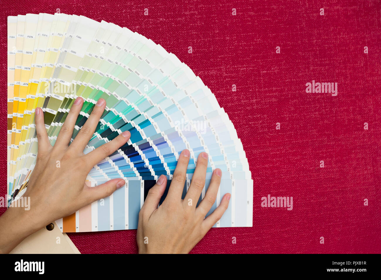 Home Improvement. Schöne Frauen wählen eine Farbe aus der Farbpalette. Ein Zimmer renovieren. Stockfoto