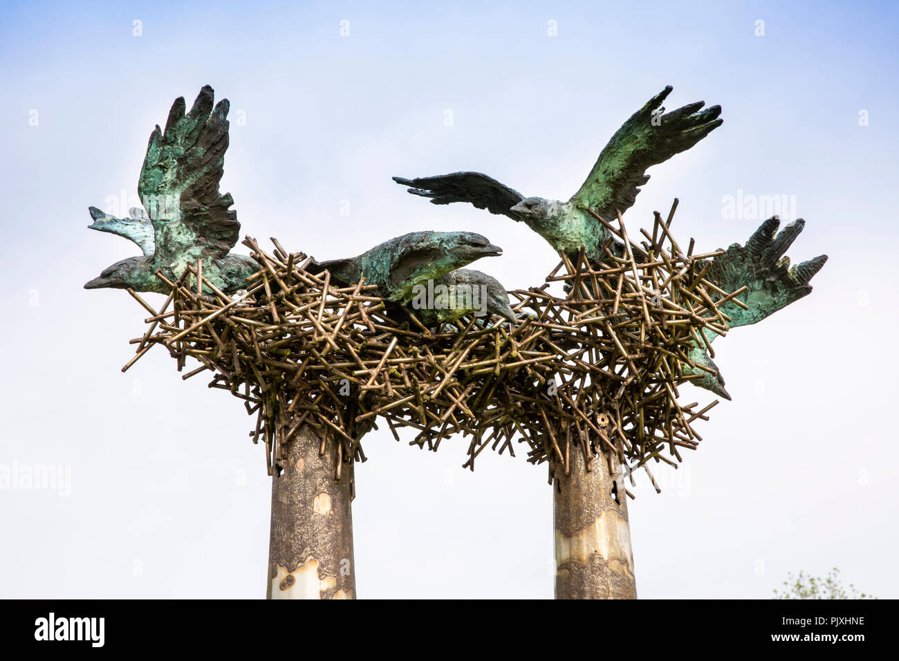 Irland, Co Leitrim, Drumkeerin, Wintereinsatz, nistende Vögel scuplture Stockfoto