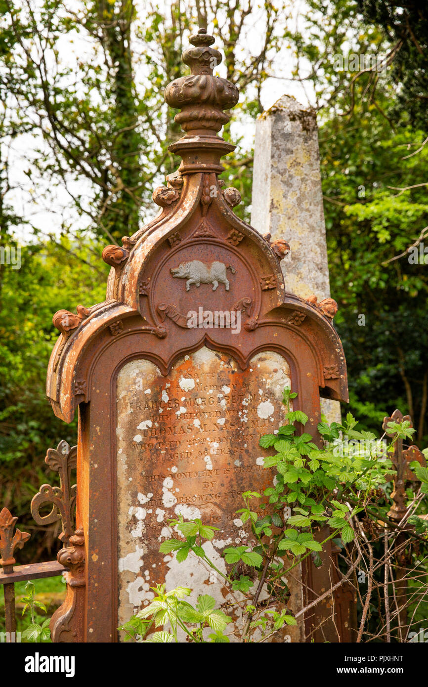 Irland, Co Leitrim, Drumkeerin, Anglikanische Kirchhof, ungewöhnliche Bügeleisen Grabstein von Frances Margaret Nash Stockfoto