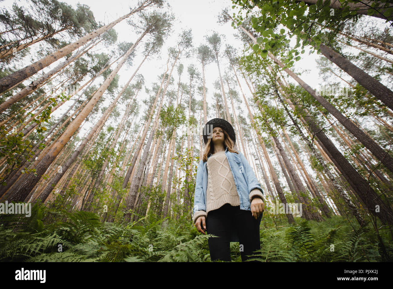 Junge Frau, die im Wald mit hohen Bäumen Stockfoto