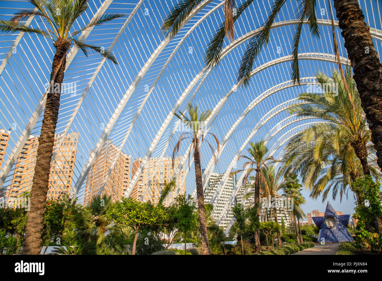 Die umbracle gewölbte Struktur Skulptur Galerie in der Stadt der Künste und Wissenschaften in Valencia, Spanien Stockfoto