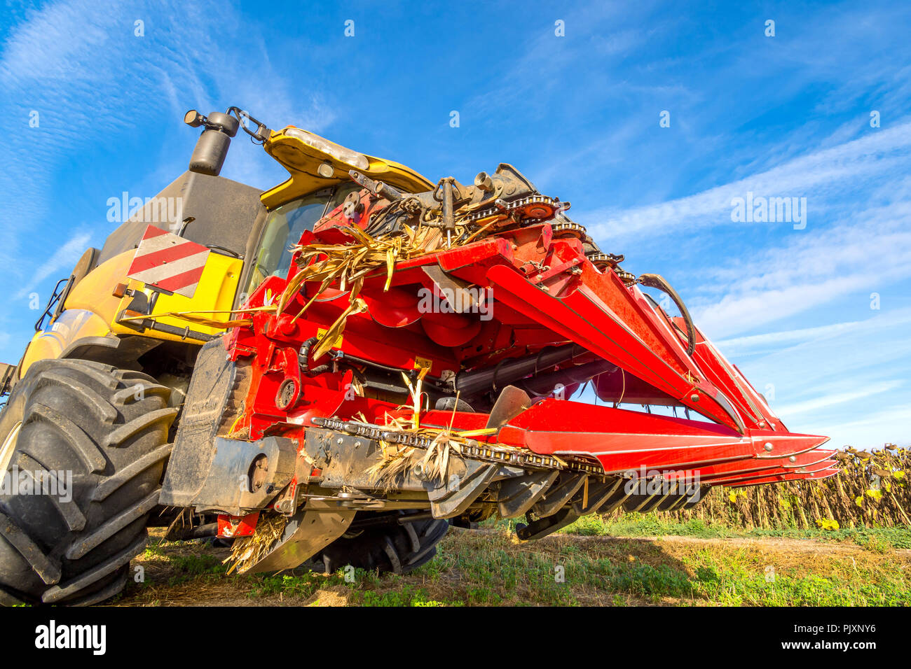 Mähdrescher' Maispflückvorsatz cutter' für Mais und Sonnenblumen - Frankreich. Stockfoto