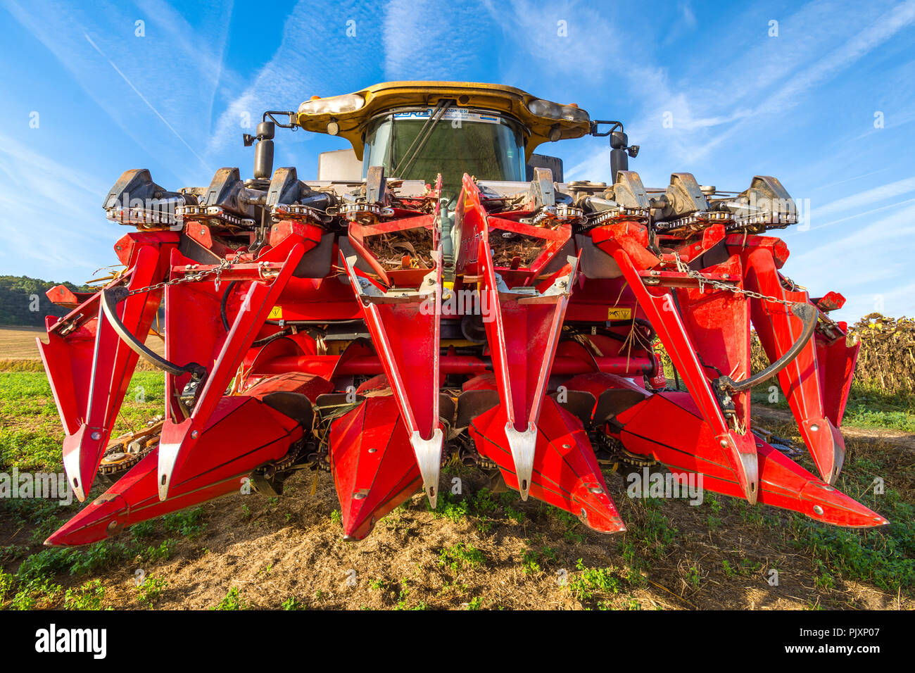 Mähdrescher' Maispflückvorsatz cutter' für Mais und Sonnenblumen - Frankreich. Stockfoto
