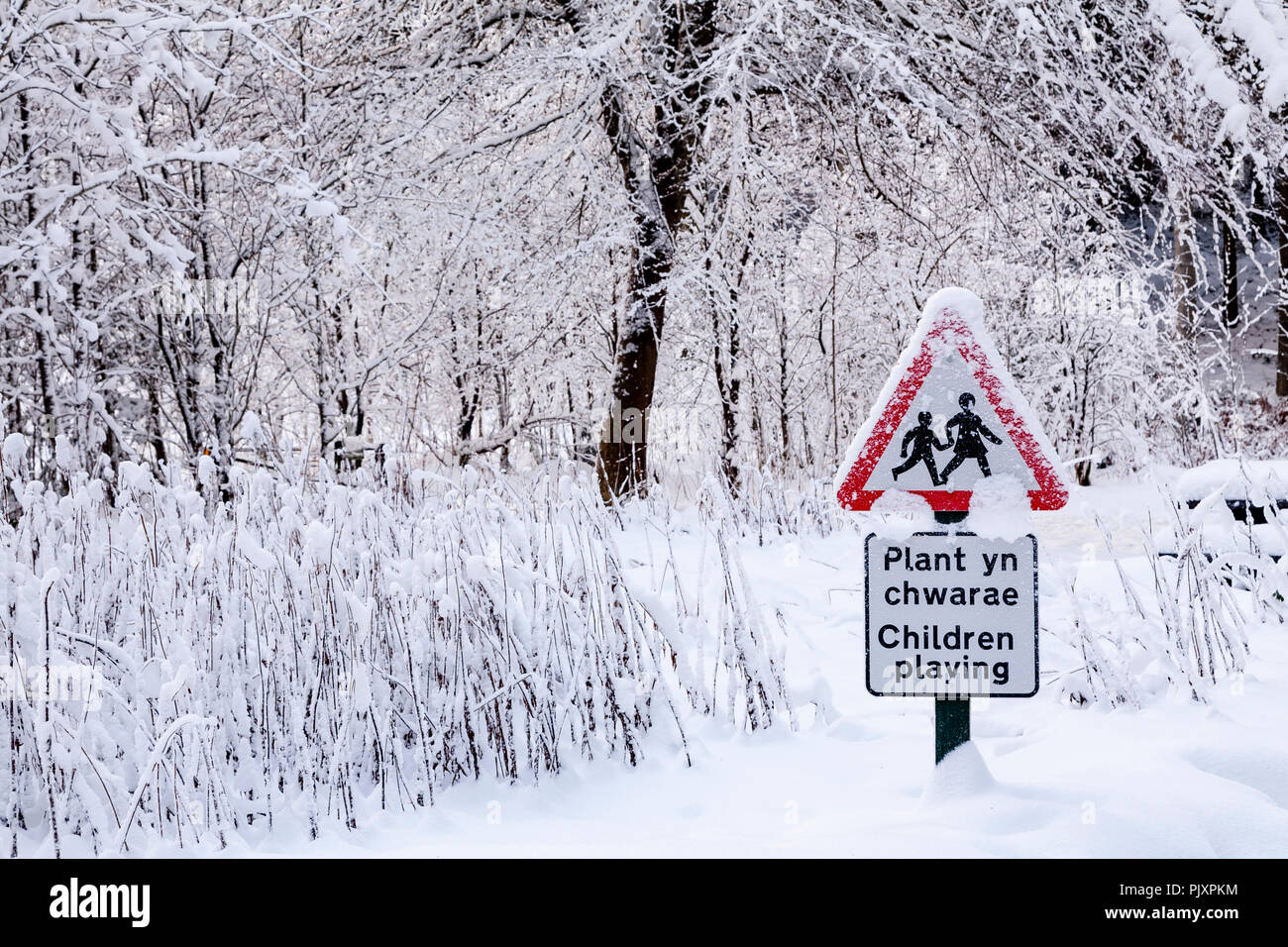 Die walisische Sprache spielende Kinder Schild im Schnee in Clocaenog Wald bedeckt, North Wales Stockfoto