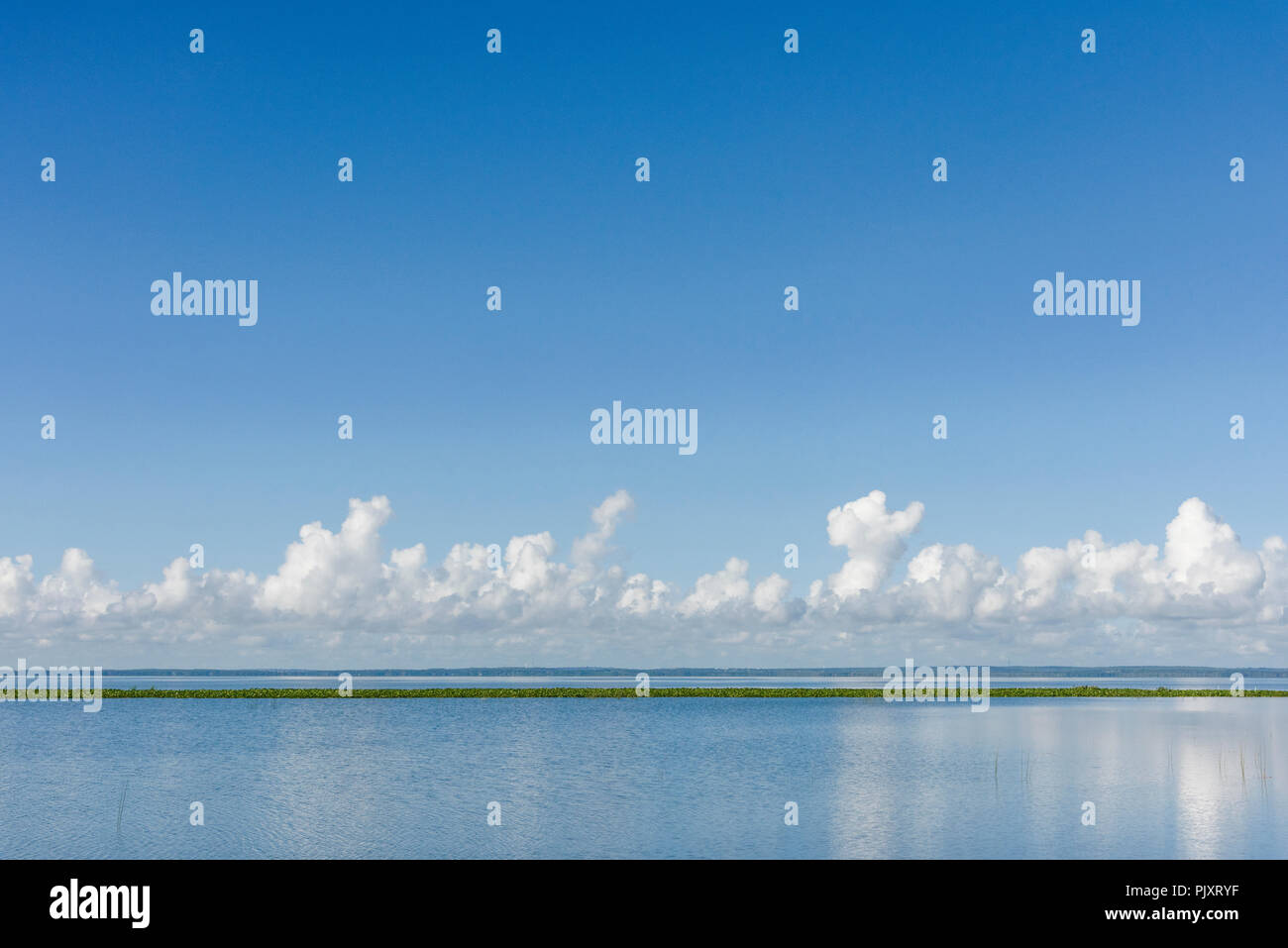 Lake Apopka Florida Horizont Stockfoto
