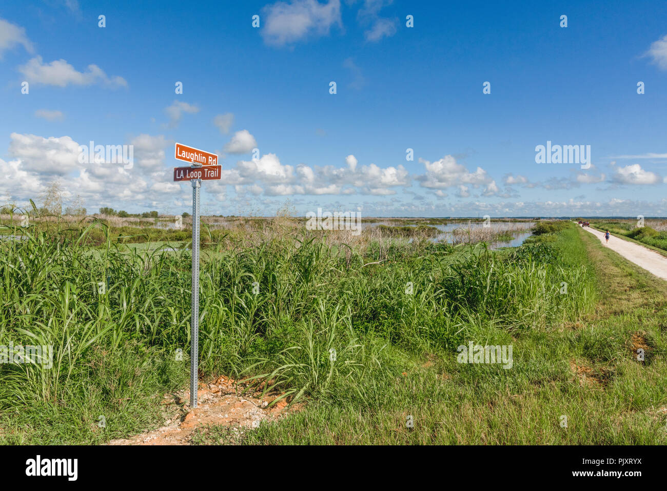 Loop Trail Apopka Florida Stockfoto