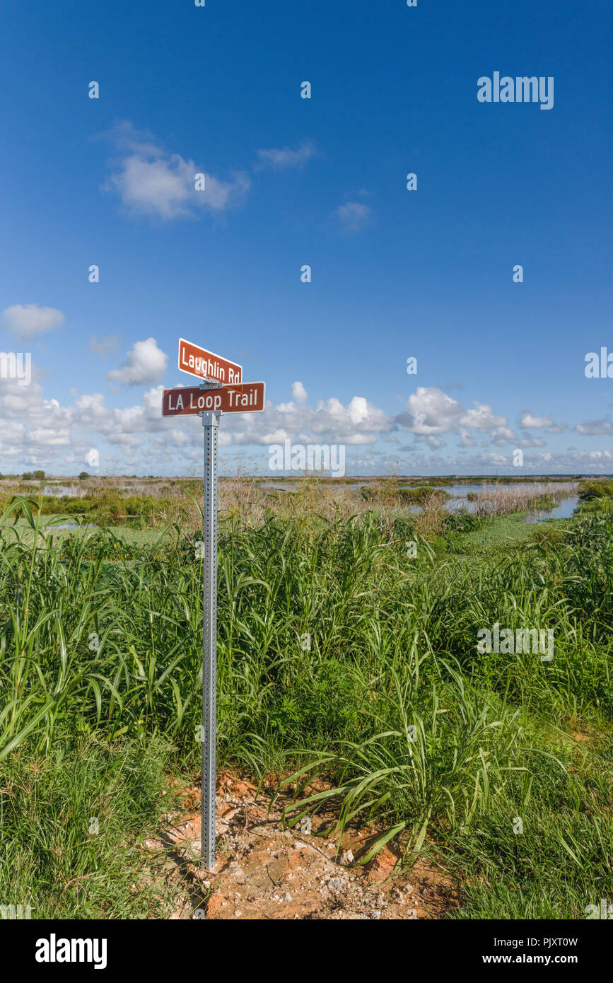 Loop Trail Apopka Florida Stockfoto