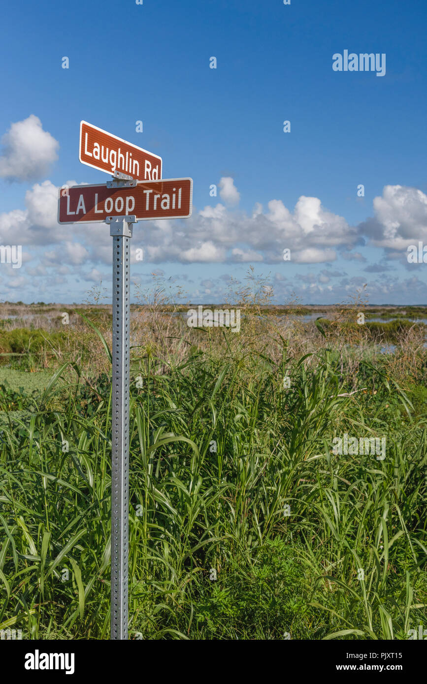 Loop Trail Apopka Florida Stockfoto