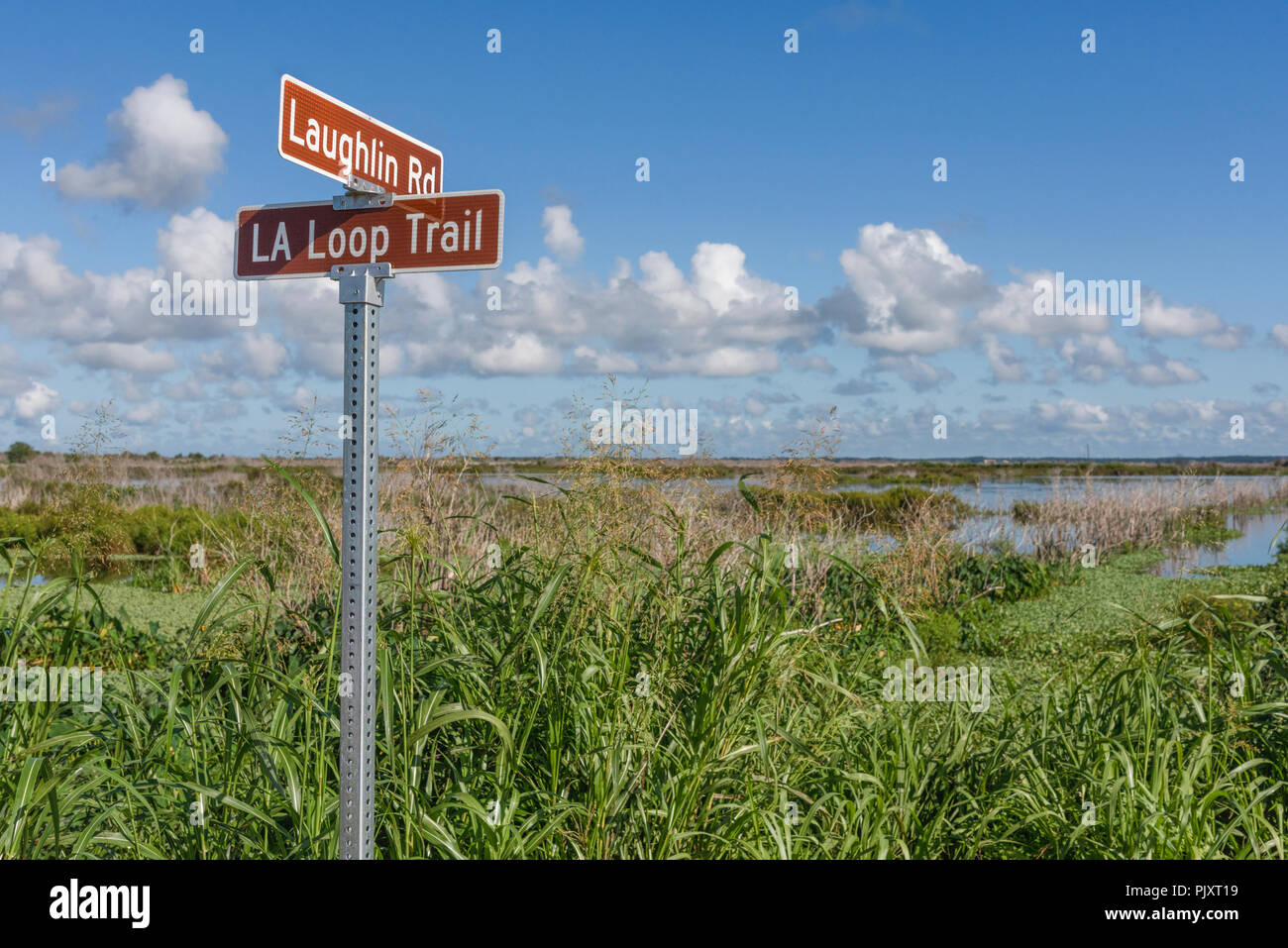 Loop Trail Apopka Florida Stockfoto