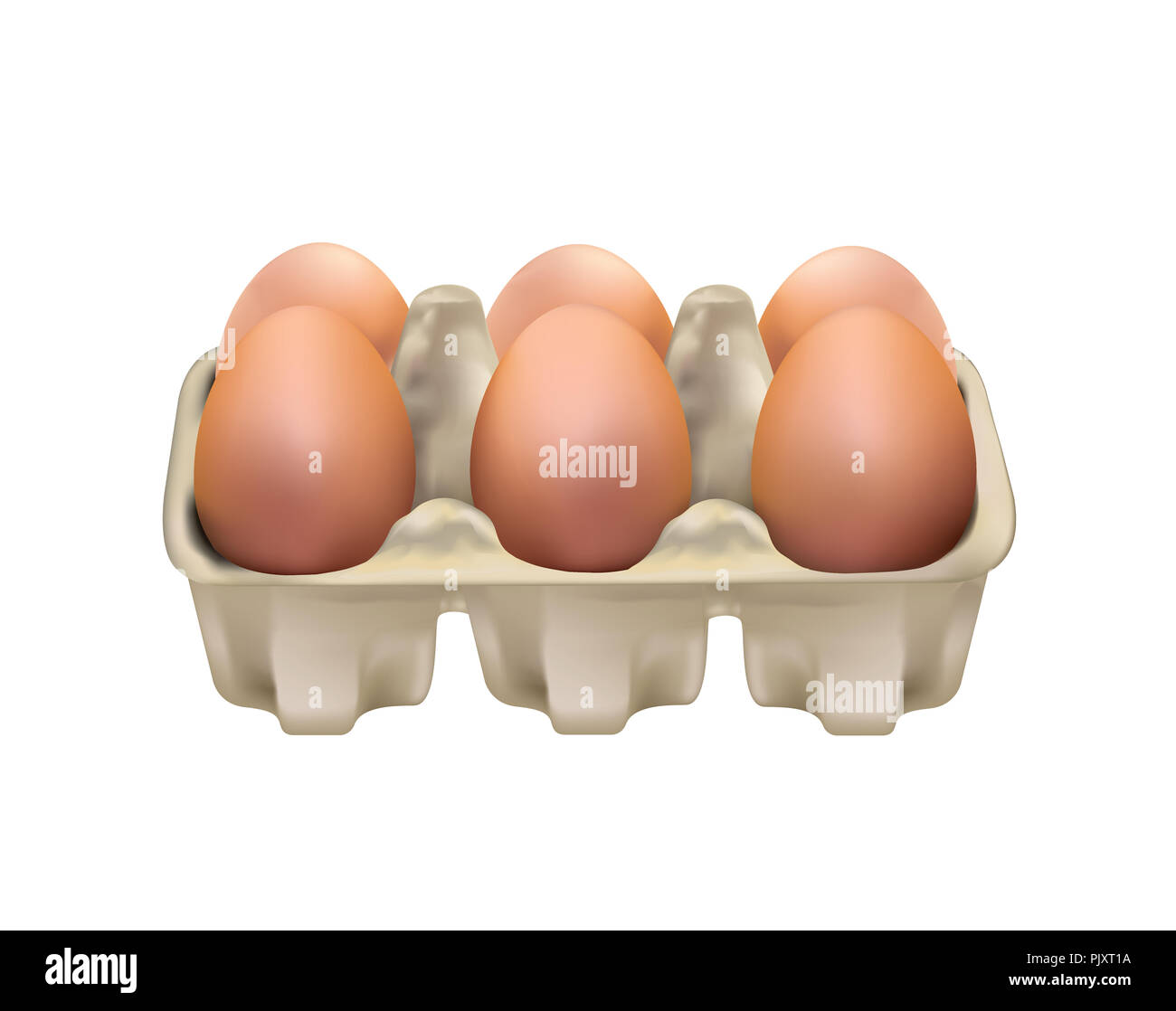 Eier im Karton verpackung Stockfoto