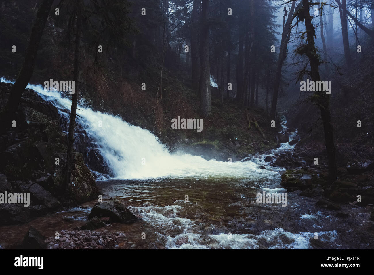 Wasserfall und den Fluss in eine düstere und Moody Wald im Winter, Fantasy und Märchen Stimmung, Saut du Bouchot, Vogesen, Frankreich. Stockfoto