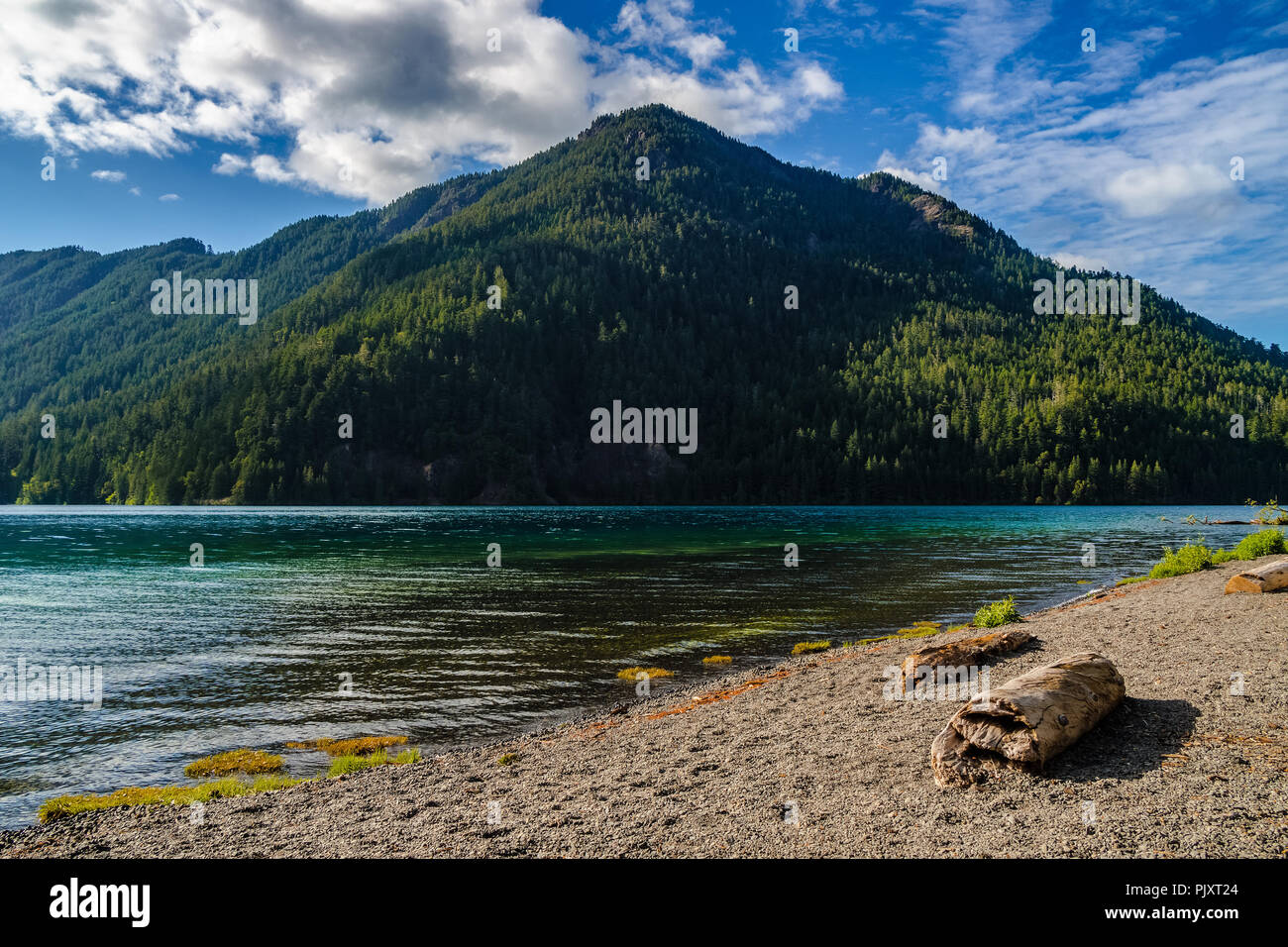 Landschaft des Lake Crescent an einem sonnigen Tag vom Strand, Olympic National Park, Washington State, USA. Stockfoto