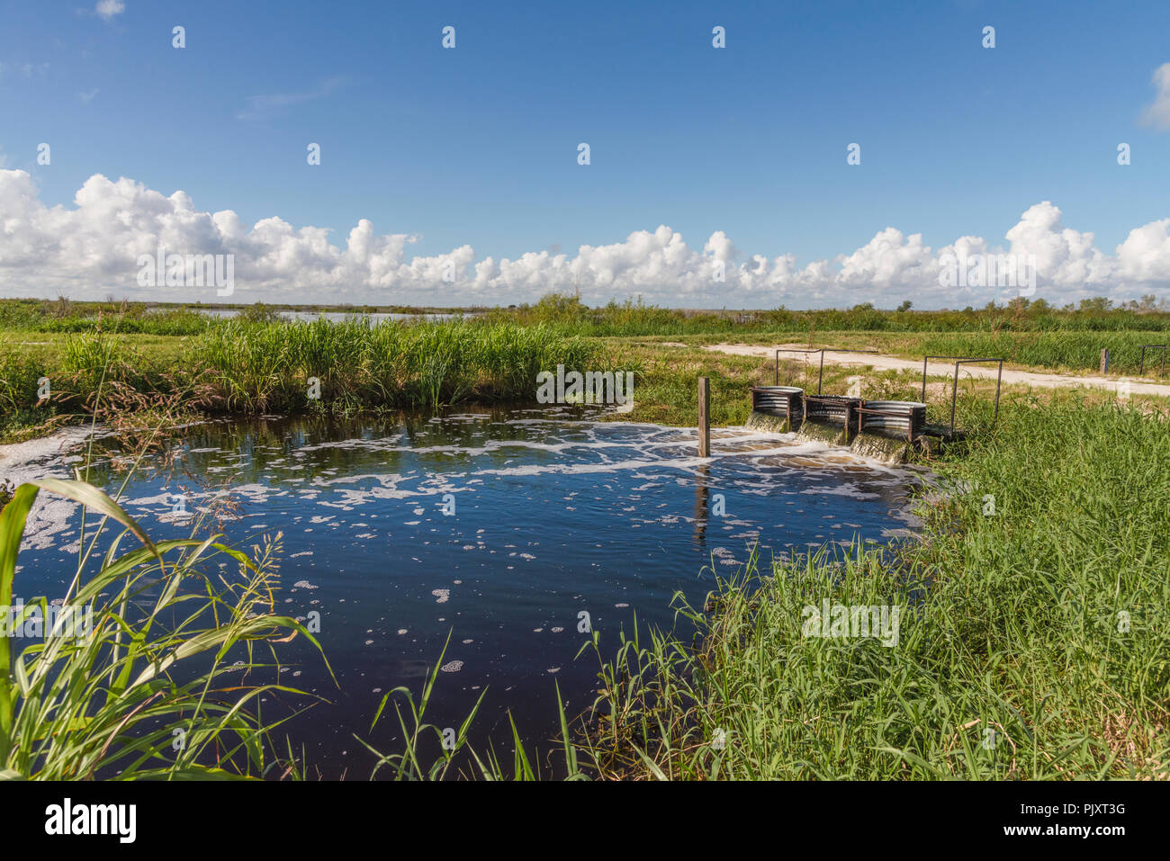 Florida Wasserüberlauf Abflusssystem Stockfoto