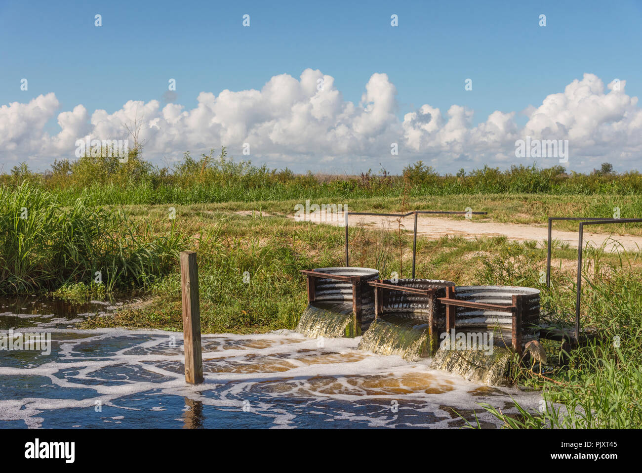 Florida Wasserüberlauf Abflusssystem Stockfoto