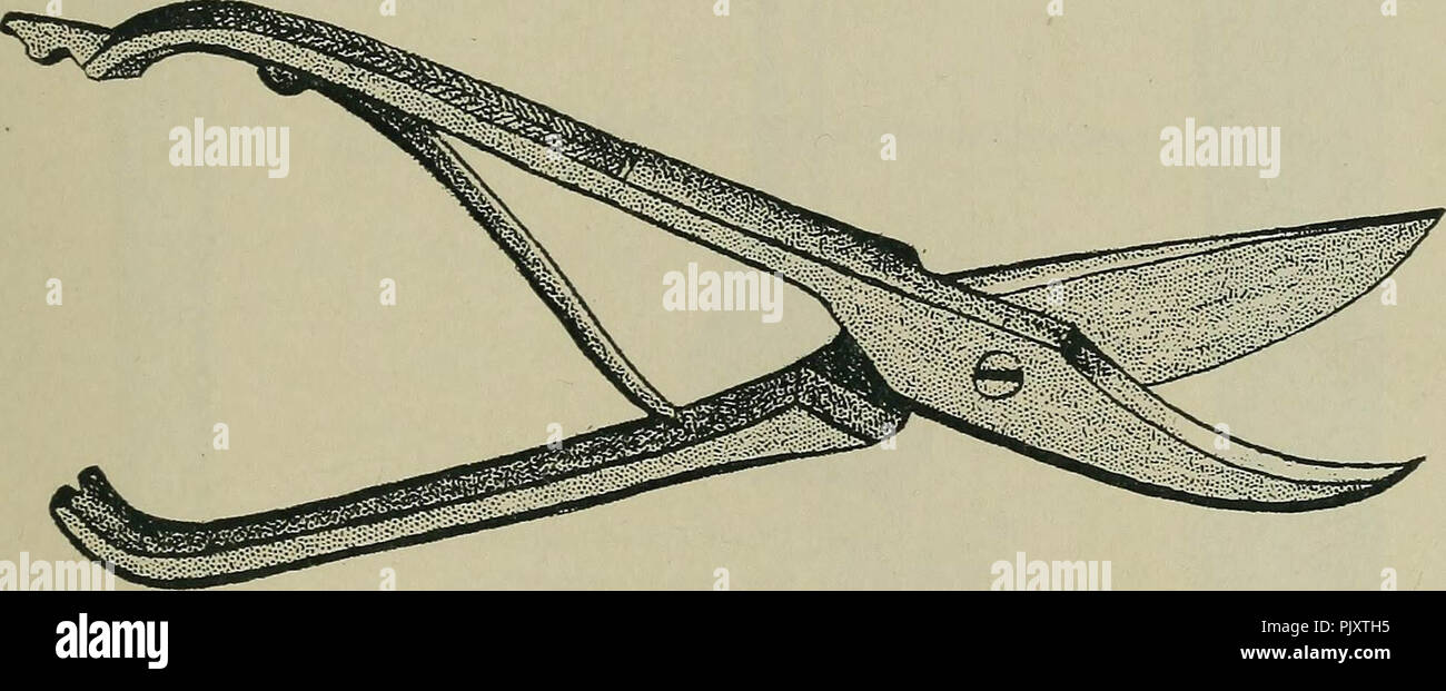 Postmortem pathology manual technic post mortem Fotos und
