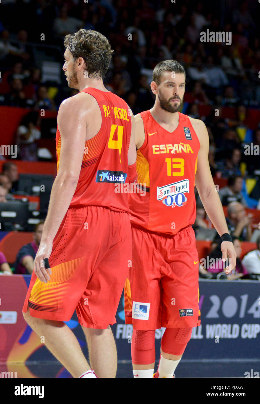 Pau und Marc Gasol. Spanien Basketball Nationalmannschaft. Wm 2014  Stockfotografie - Alamy