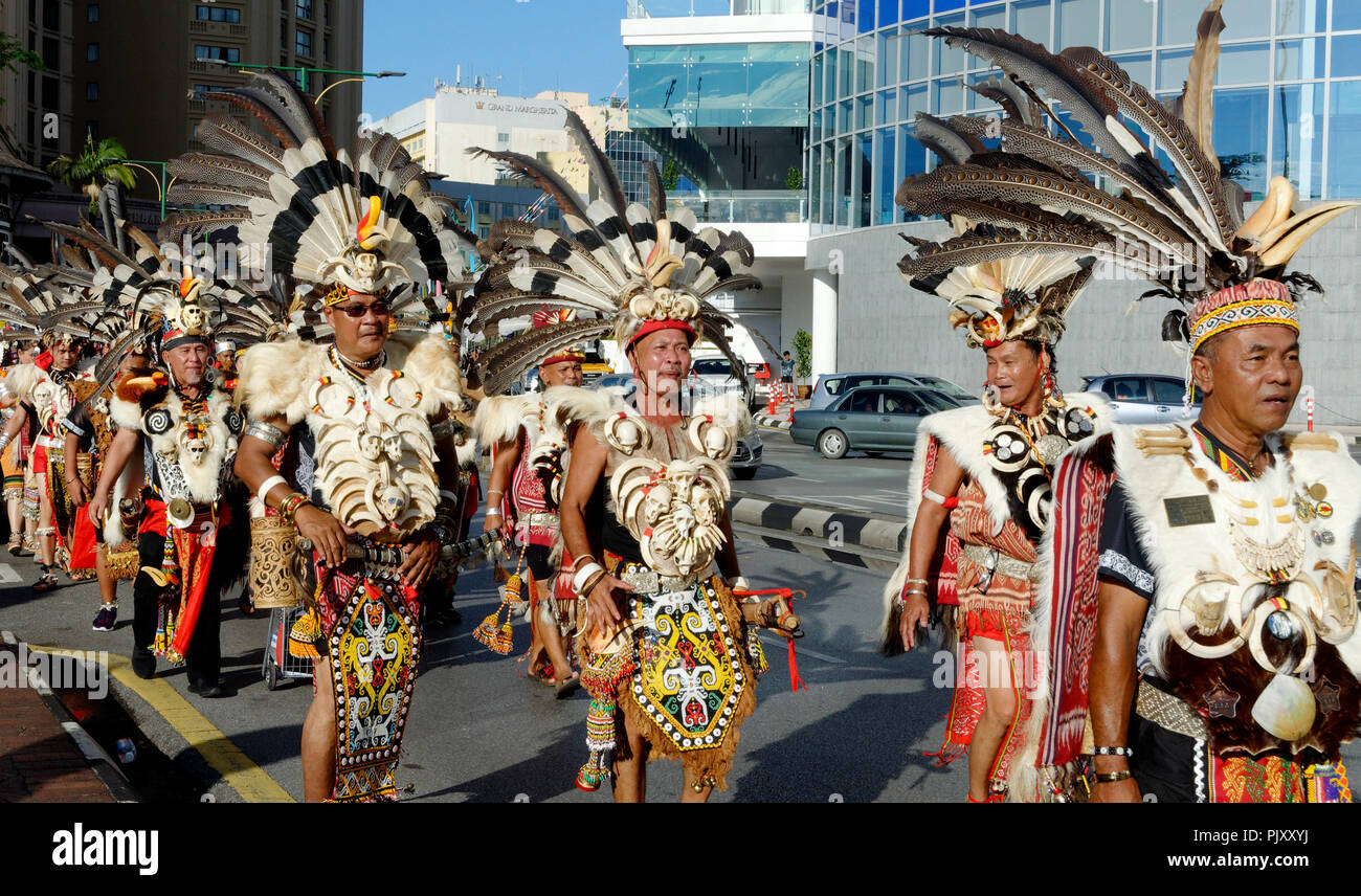 Iban Krieger an der Gawai Parade mit traditionellem Kopfschmuck, Federn und Kostüm, Kuching, Sarawak, Malaysia, Borneo Stockfoto