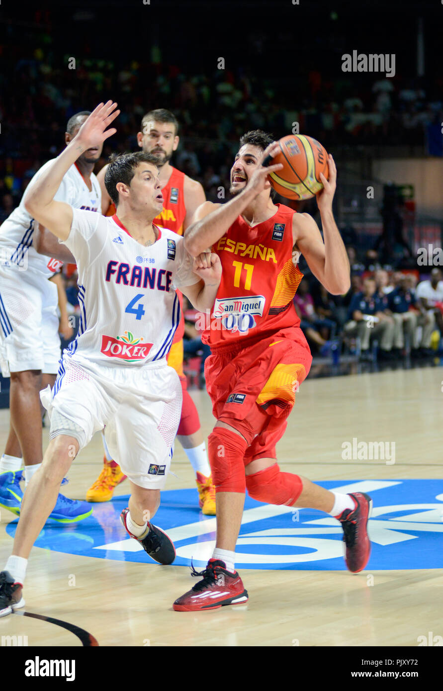 Ricky Rubio (Spanien) zählende gegen Frankreich. Basketball WM 2014 Stockfoto