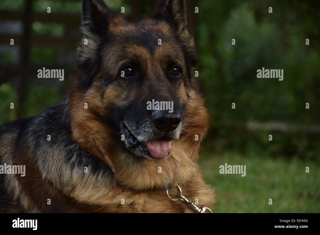 Street Fotografie Sofia Stockfoto