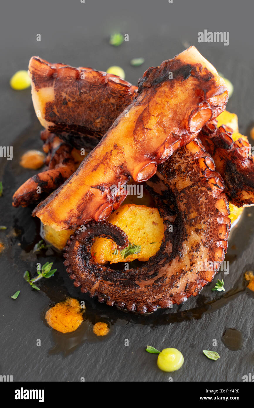 Octopus Gericht gekocht Stockfoto