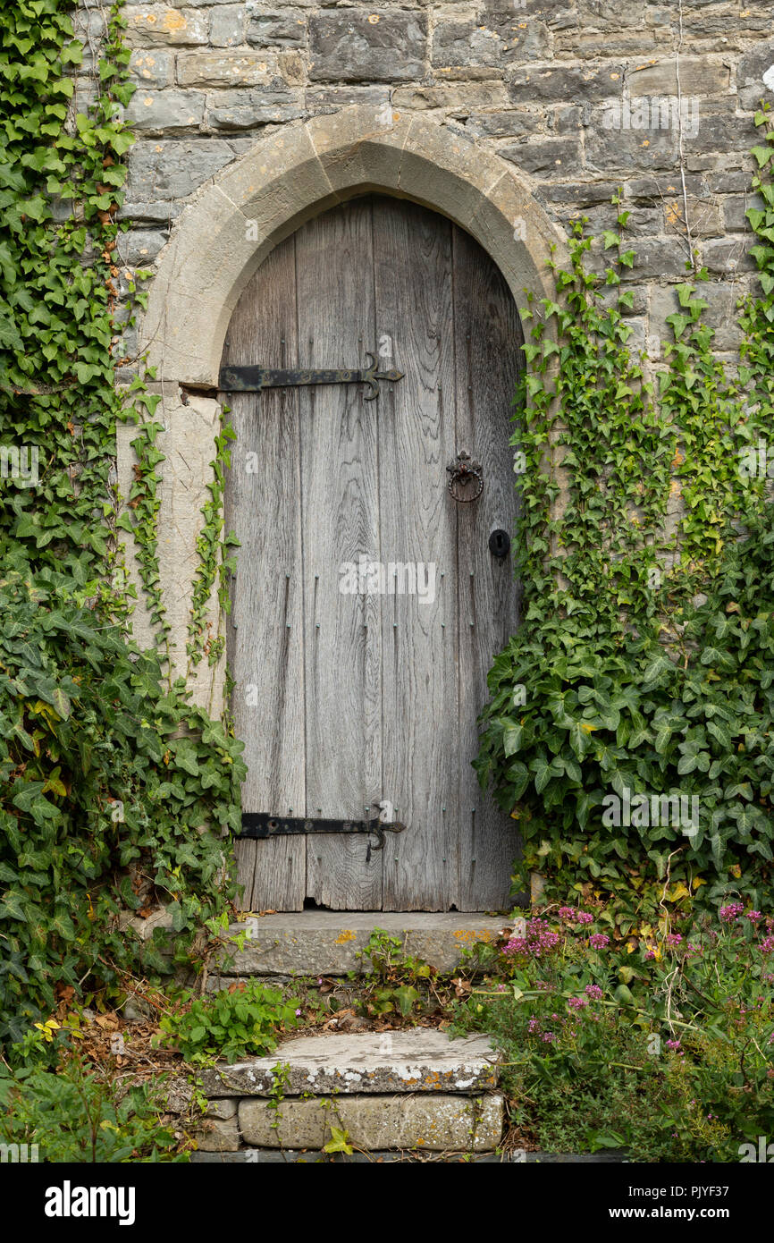 Überwachsen und verwitterte Tür, St. Nicholas Kirche, Lavernock Punkt, Glamorgan, Wales, Großbritannien Stockfoto