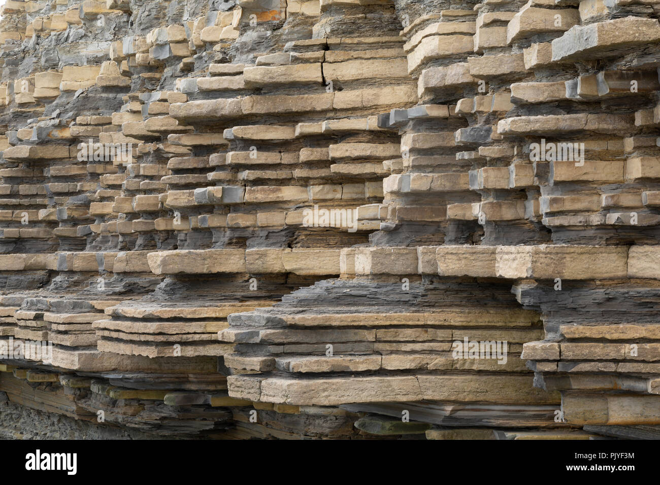 Gesteinsschichten, bestehend aus blauen Lias, in den Klippen am Lavernock Punkt, Glamorgan, Wales, Großbritannien Stockfoto