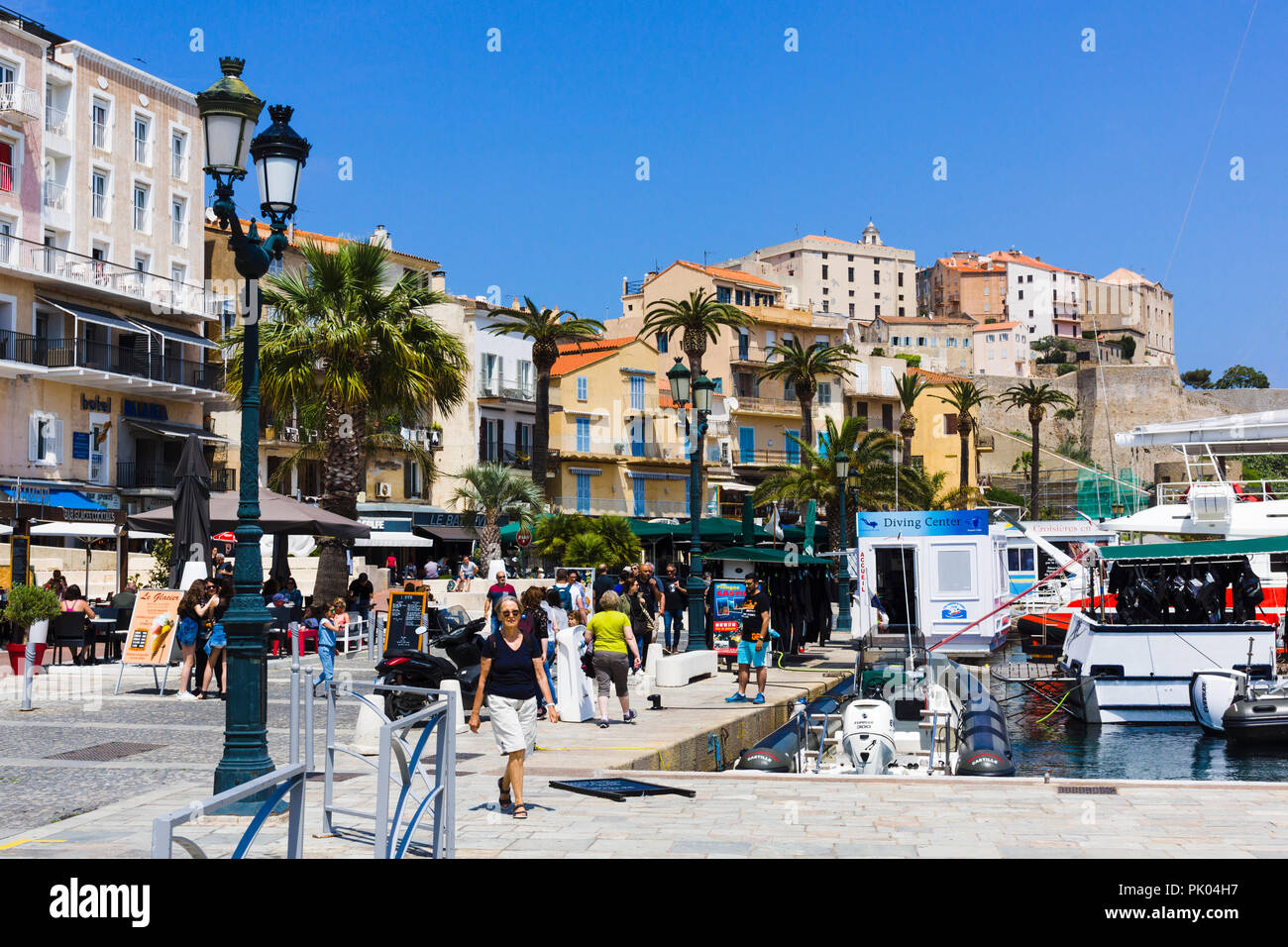 Waterfront und Marina. Calvi, Korsika, Frankreich Stockfoto