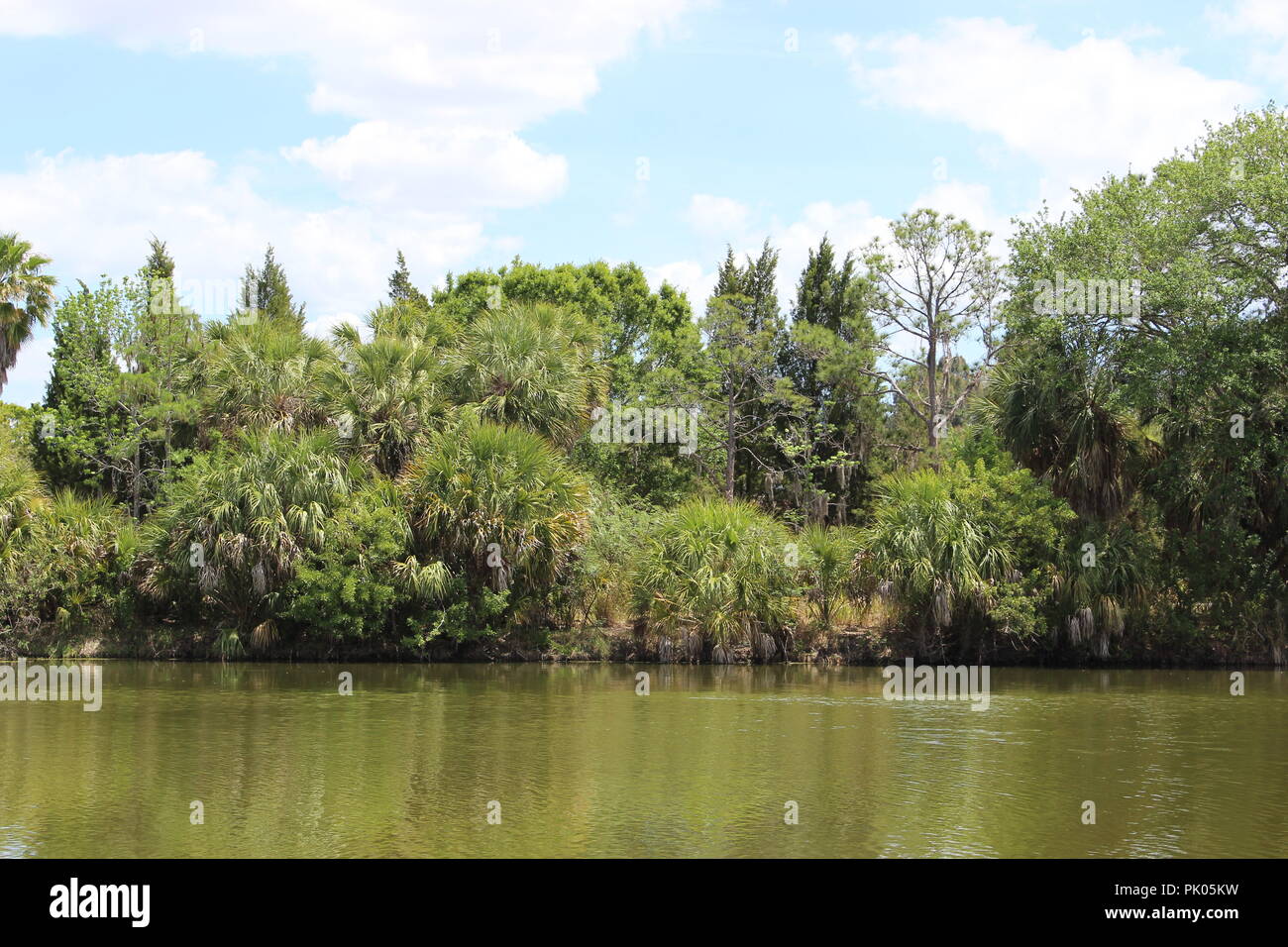See Seminole Park, Park Boulevard North, Seminole, FL, USA Stockfoto