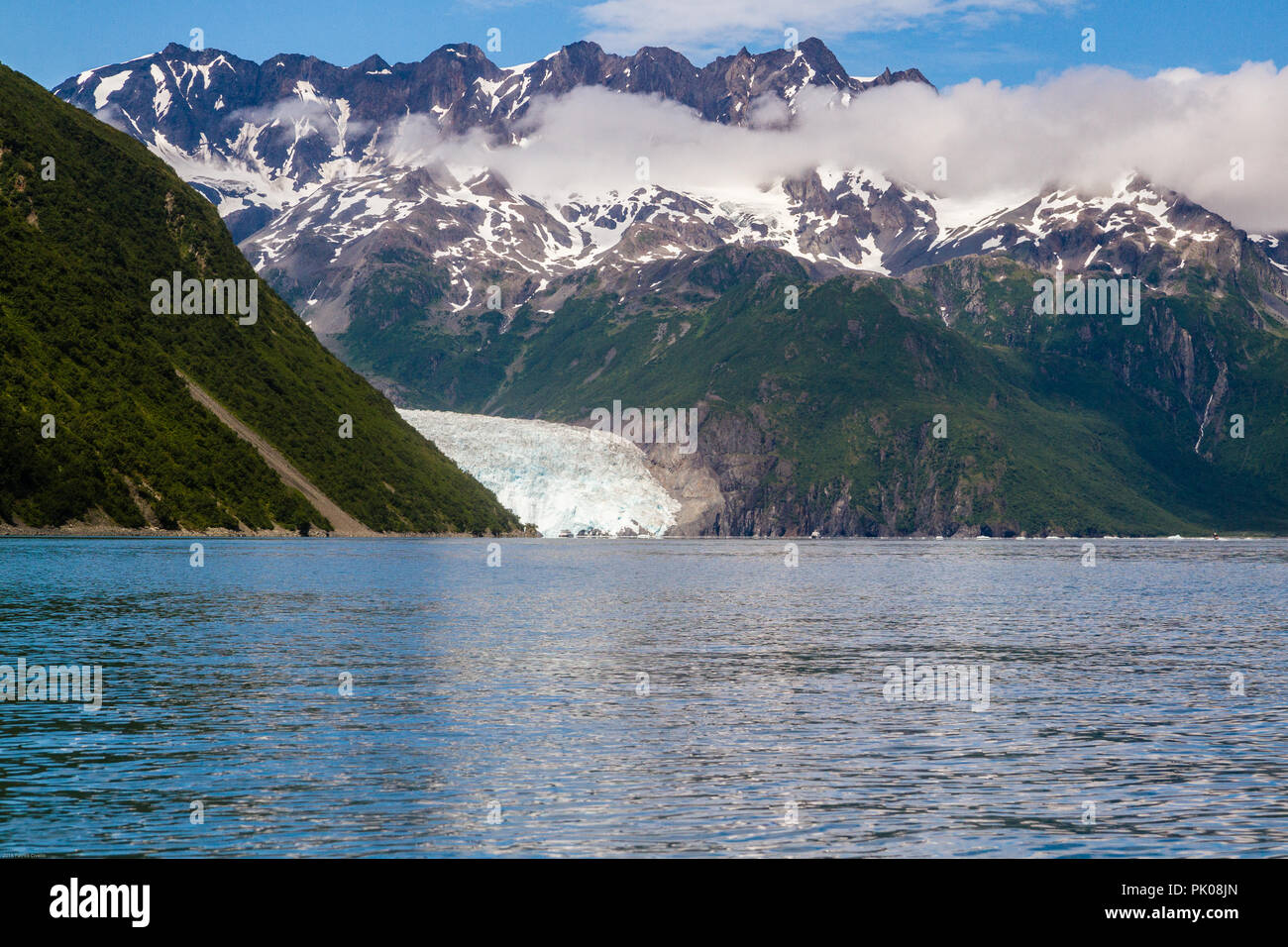 Ansicht der Aialik Gletscher in der Aialik Bay, Alaska, USA. Wasser im Vordergrund, Green mountain glacier Links, Schnee auf den Bergen auf der rechten, blauen Himmel. Stockfoto