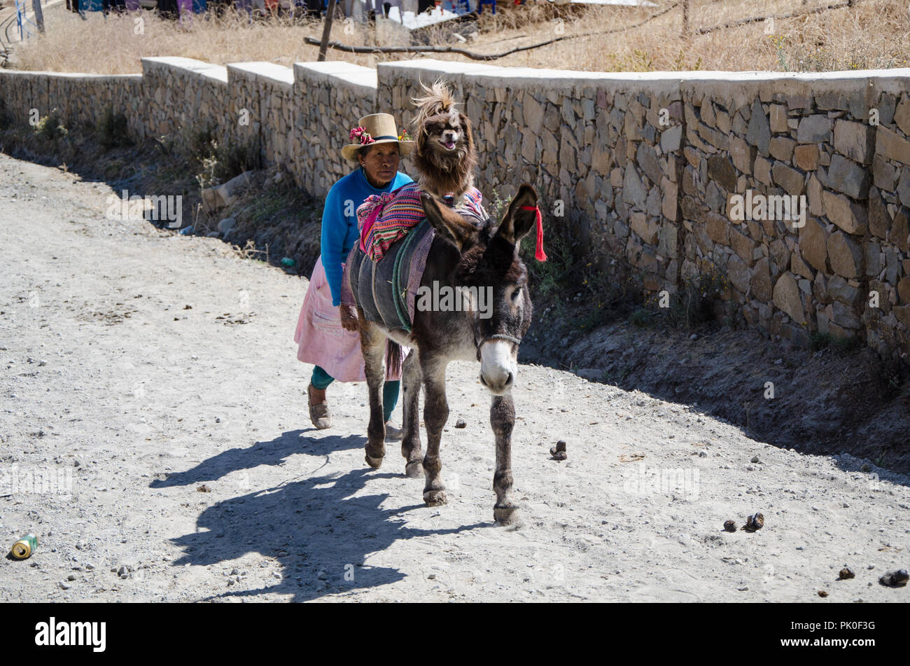 Lima, Peru - 3. SEPTEMBER 2018: die Bauern und Bürger in den Marcahuasi Berge. Anden Frau Wandern in den Bergen mit seinem Hund vor der Esel Stockfoto