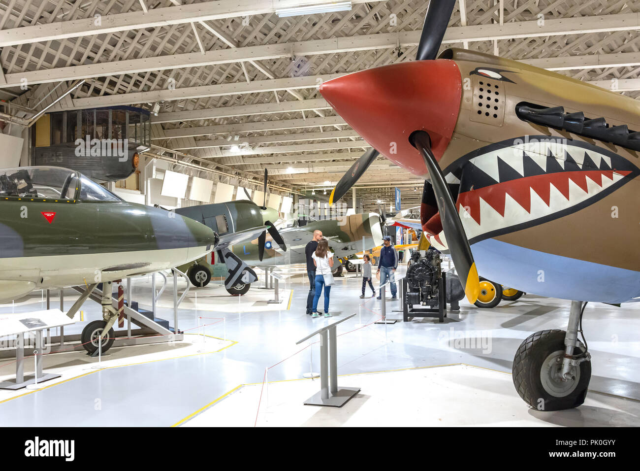 Curtis Kittyhawk II im Angriff Jagdflugzeug der Royal Air Force Museum, Colindale, London Borough von Barnett, Greater London, England, Vereinigtes Königreich Stockfoto