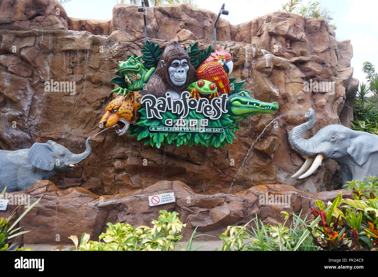 Rainforest Cafe in Disney Federn, Orlando, Florida Stockfoto