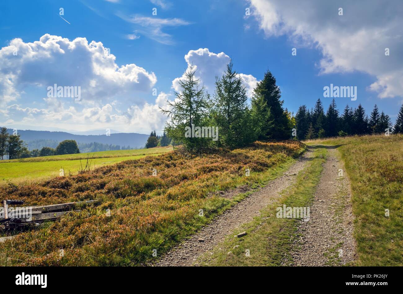 Schönen Sommer Landschaft. Ländlichen Berg Pfad auf dem Grünen Hügel. Stockfoto