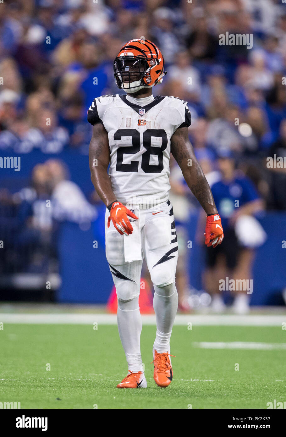 Indianapolis, Indiana, USA. 09 Sep, 2018. Cincinnati Bengals zurück läuft Joe Mixon (28) Während der NFL Football Spiel Action zwischen den Cincinnati Bengals und die Indianapolis Colts im Lucas Oil Stadium in Indianapolis, Indiana. Cincinnati, Indianapolis 34-23 besiegt. Johann Mersits/CSM/Alamy leben Nachrichten Stockfoto