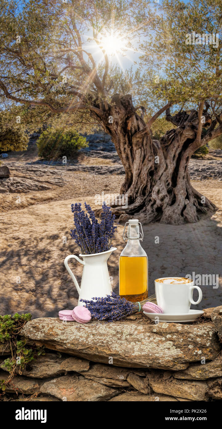 Lavendel noch Leben gegen Olivenbaum in der Provence, Frankreich  Stockfotografie - Alamy