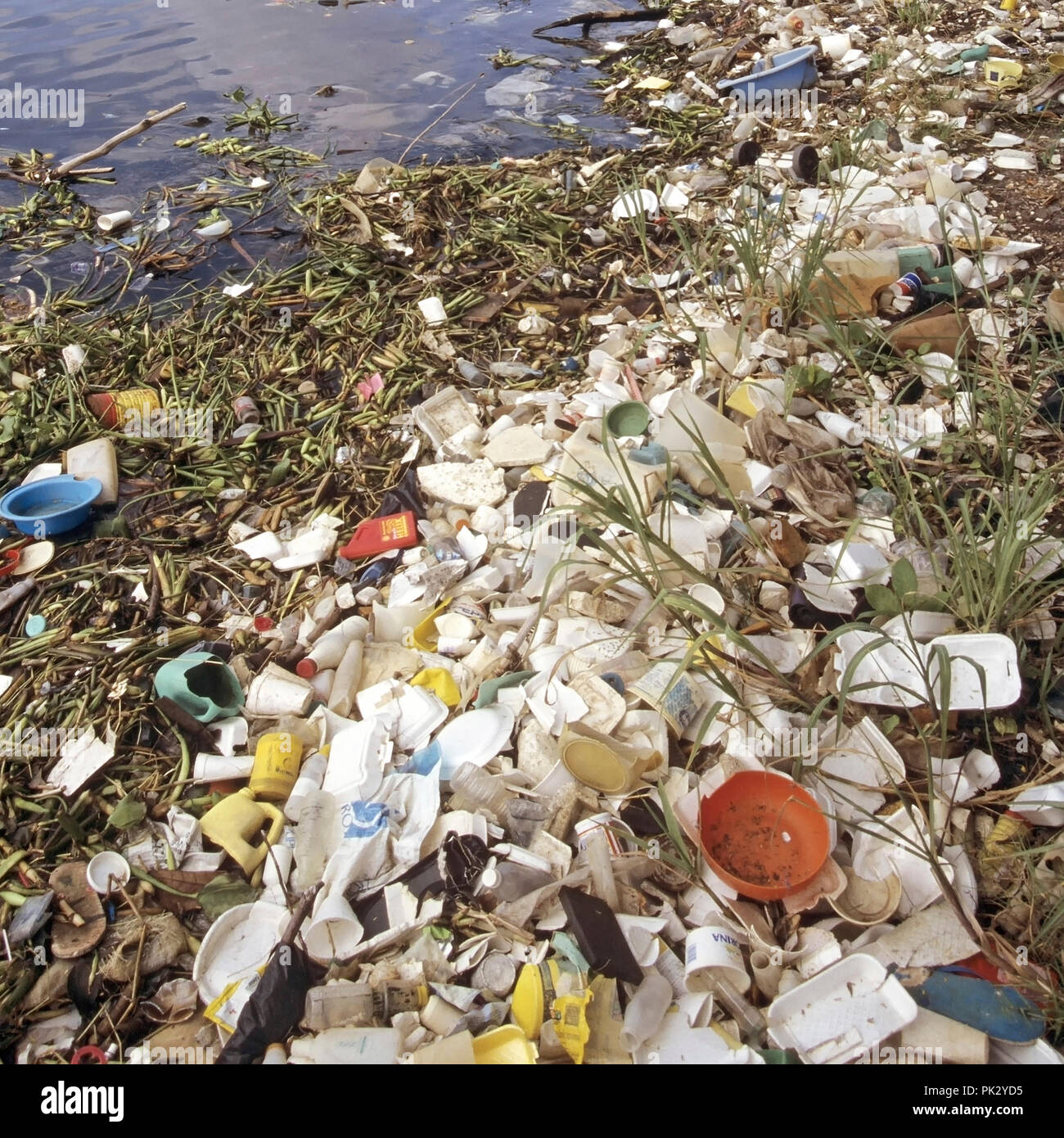 Meeresverschmutzung Auswahl der verworfenen floating Verpackungsabfälle aus Kunststoff Ablagerungen Müll Müll Müll angeschwemmte Shoreline Dominikanische Republik Karibik Stockfoto