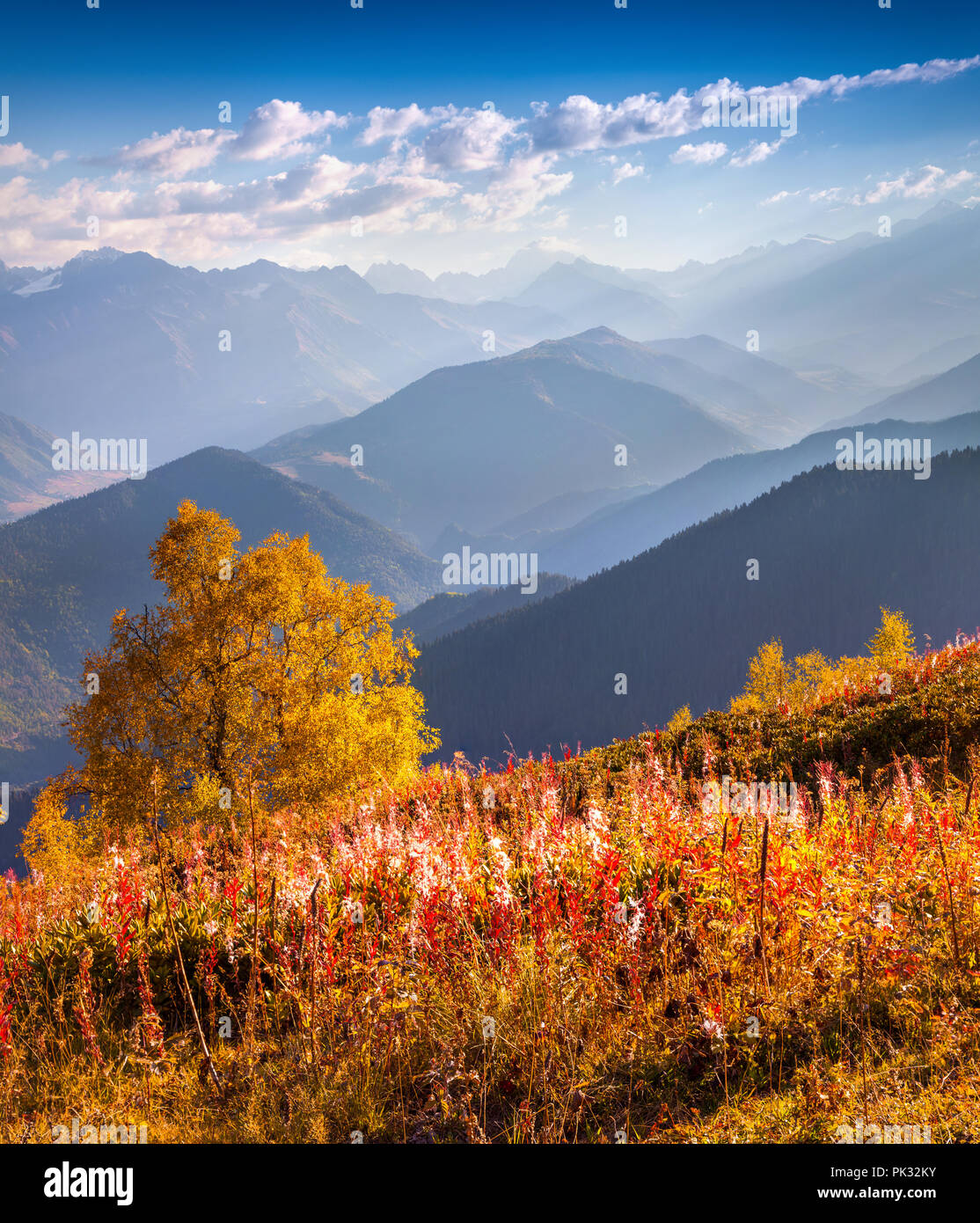 Bunte Herbst morgen im Kaukasus. Obere Swanetien, Georgien, Europa. Oktober 2015. Stockfoto