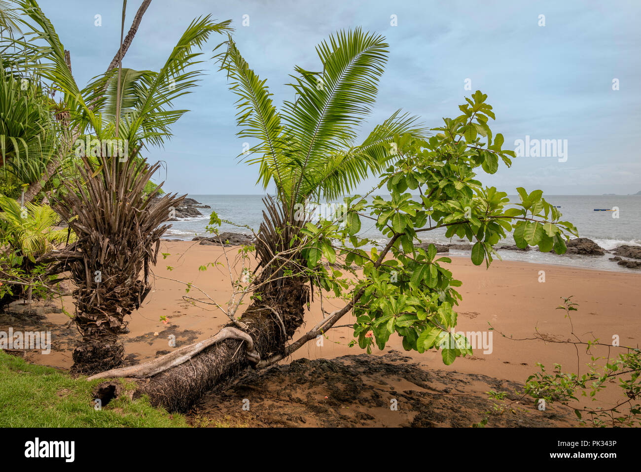 Strand, Corcovado Nationalpark, Halbinsel Osa, Costa Rica Stockfoto