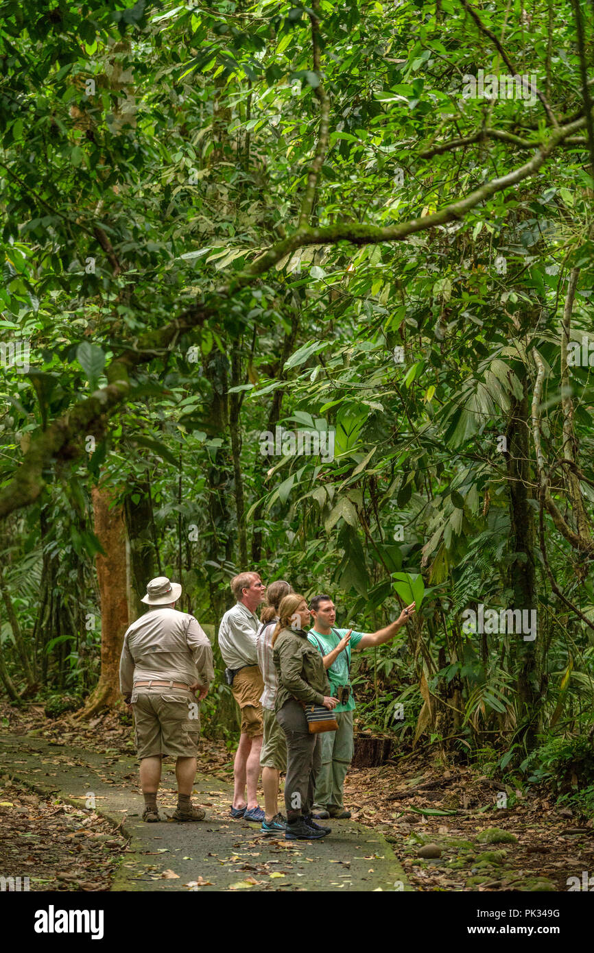 Tour Guide mit Touristen, Tenorio Volcano National Park, Costa Rica Stockfoto