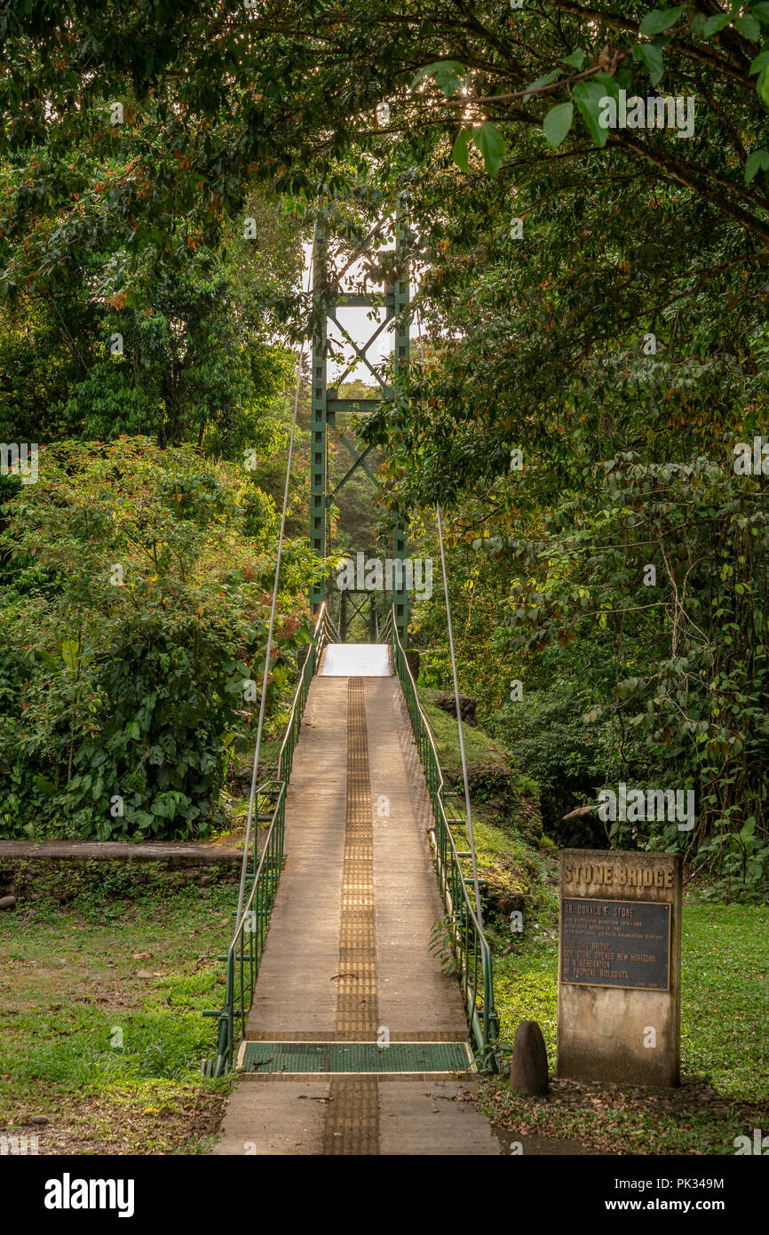 Steinerne Brücke, Tenorio Volcano National Park, Costa Rica Stockfoto