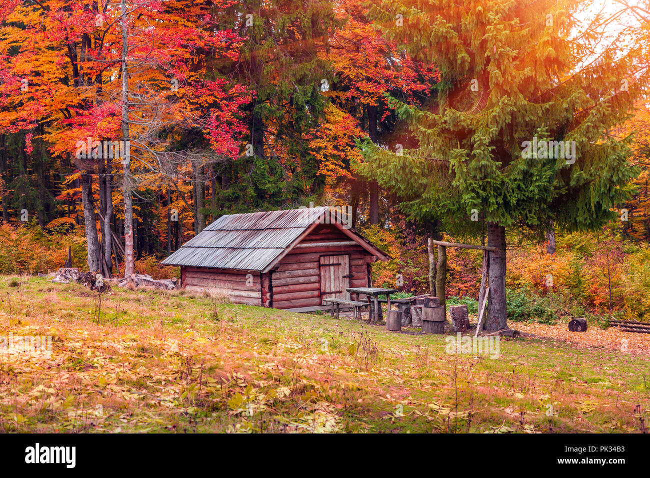 Der Förster Hütte mitten im Wald bei Sonnenaufgang Stockfoto