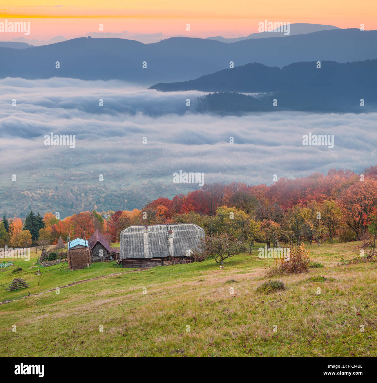 Herbst im Karpatischen Dorf Kvasy. Transkarpatien, Ukraine, Europa. Stockfoto