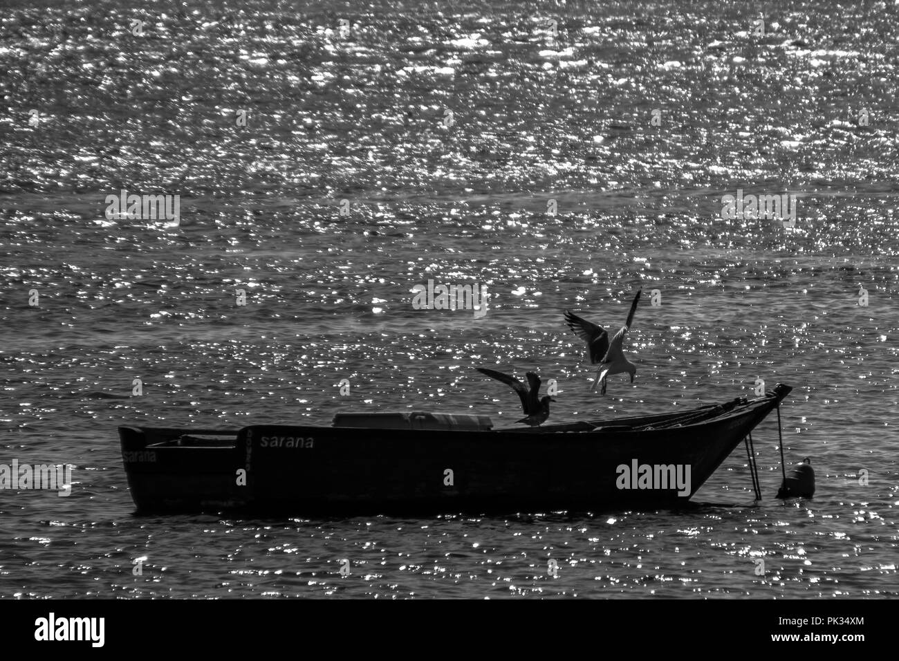 Porto ist die zweitgrößte Stadt in Portugal nach Lissabon und eine der größten Städte der Iberischen Halbinsel. Stockfoto